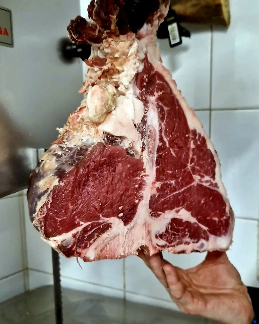 la-migliore-carne-alla-brace-Rho-Milano_fiera