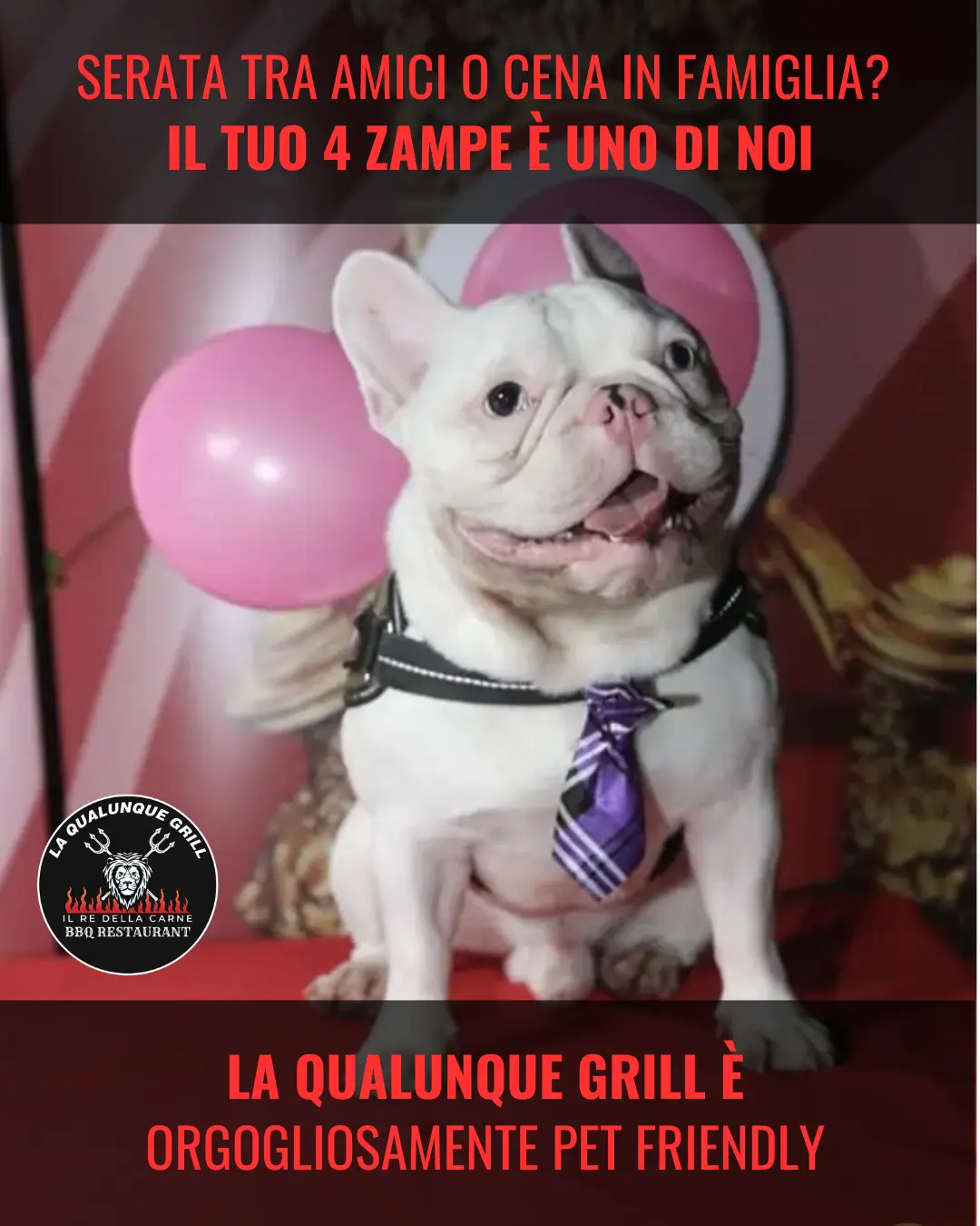 cani-ammessi-ristorante-la-qualunque-Rho-Milano-locale-pet-friendly-lombardia